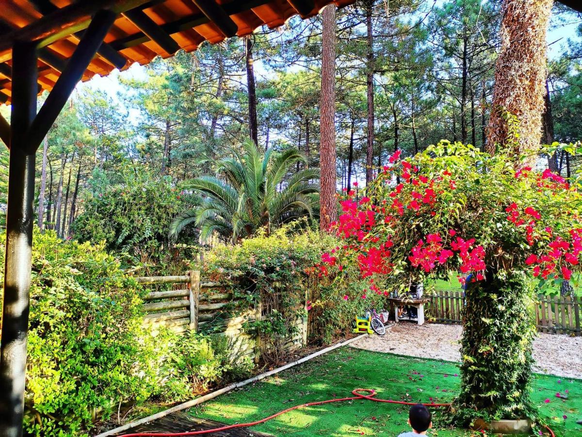 Dolphin Aroeira Beach Villa Charneca  Extérieur photo